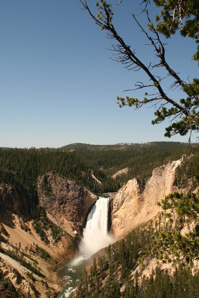 Trip (138).JPG - Lower Yellowstone Falls.  Cascading from the 590,000 year old Canyon Rhyolite lava flow, Lower Yellowstone Falls is the largest volume waterfall in the Rocky Mountains of the United States. These falls are 308 feet high, or nearly twice as high as Niagara Falls.